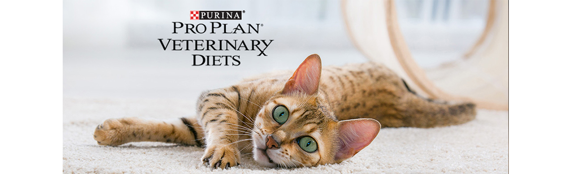 Purina veterinary diets-0
